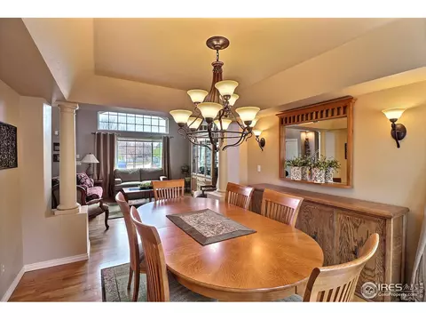 230 Mallard Ct, Windsor, CO 80550 photo 7