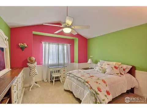 230 Mallard Ct, Windsor, CO 80550 photo 30