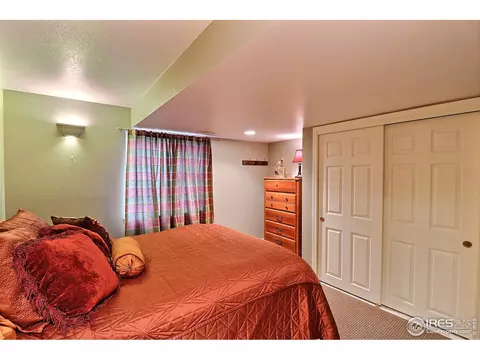 230 Mallard Ct, Windsor, CO 80550 photo 35
