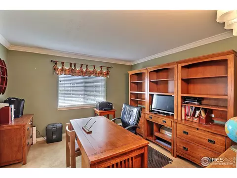 230 Mallard Ct, Windsor, CO 80550 photo 21