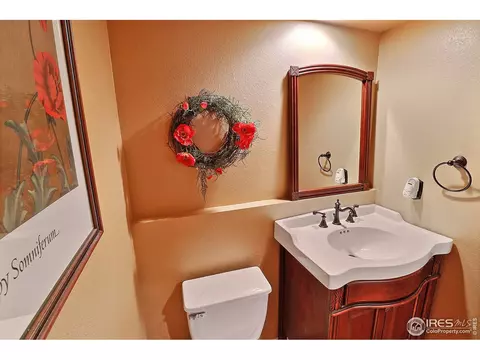 230 Mallard Ct, Windsor, CO 80550 photo 22