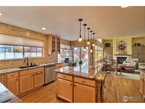 230 Mallard Ct, Windsor, CO 80550 photo 19