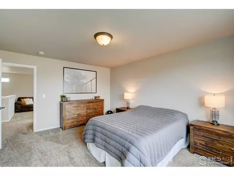 252 Castle Dr, Windsor, CO 80550 photo 26