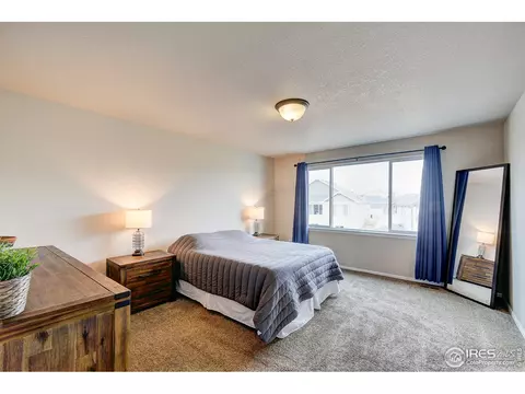 252 Castle Dr, Windsor, CO 80550 photo 24