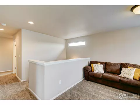 252 Castle Dr, Windsor, CO 80550 photo 22