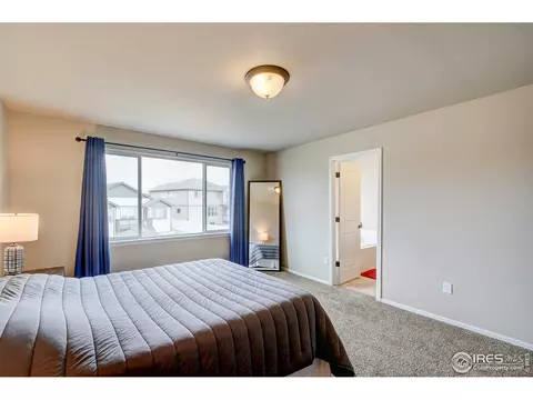 252 Castle Dr, Windsor, CO 80550 photo 25