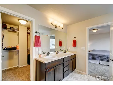 252 Castle Dr, Windsor, CO 80550 photo 29