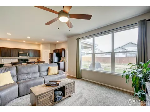 252 Castle Dr, Windsor, CO 80550 photo 14