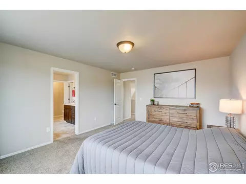 252 Castle Dr, Windsor, CO 80550 photo 27