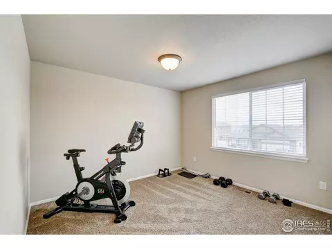 252 Castle Dr, Windsor, CO 80550 photo 34