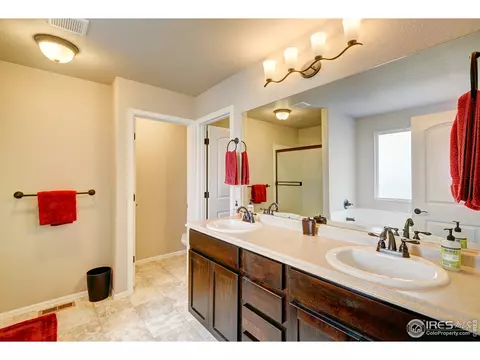 252 Castle Dr, Windsor, CO 80550 photo 28