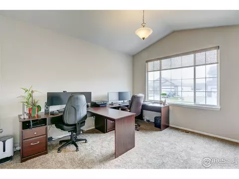 252 Castle Dr, Windsor, CO 80550 photo 20