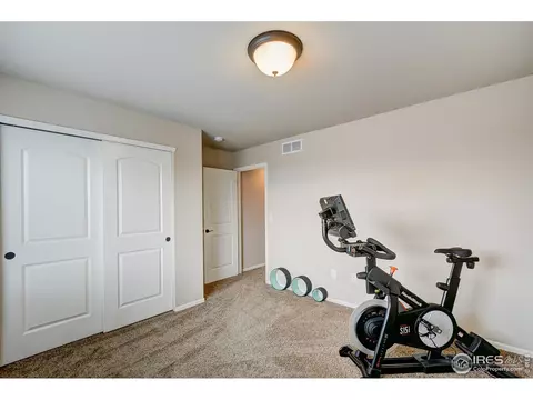 252 Castle Dr, Windsor, CO 80550 photo 33