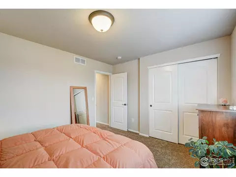 252 Castle Dr, Windsor, CO 80550 photo 32