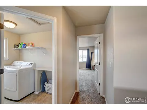 252 Castle Dr, Windsor, CO 80550 photo 21