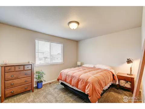 252 Castle Dr, Windsor, CO 80550 photo 31