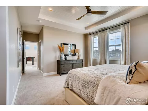 1774 Tree Grove Dr, Windsor, CO 80550 photo 18