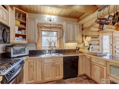139 Pine Cone Dr, Ward, CO 80481 photo 7