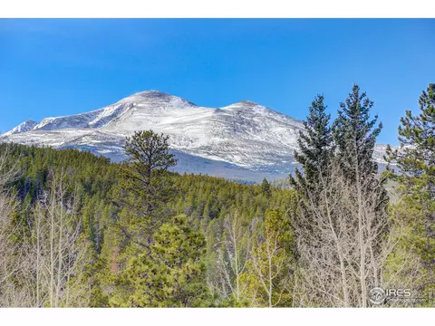 139 Pine Cone Dr, Ward, CO 80481 photo 33