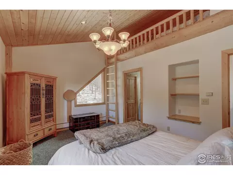 139 Pine Cone Dr, Ward, CO 80481 photo 20