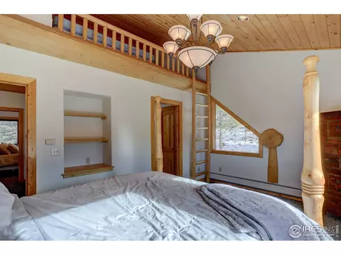 139 Pine Cone Dr, Ward, CO 80481 photo 24