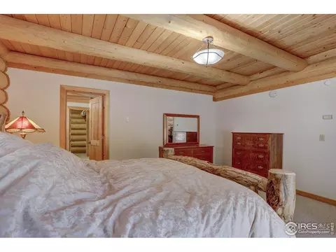 139 Pine Cone Dr, Ward, CO 80481 photo 14