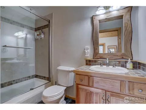 139 Pine Cone Dr, Ward, CO 80481 photo 23