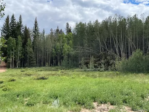 6325 Remington Rd, Como, CO 80432 photo 4