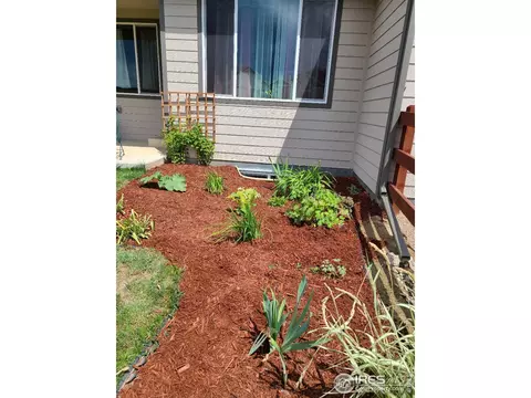 2050 Reliance Dr, Windsor, CO 80550 photo 28