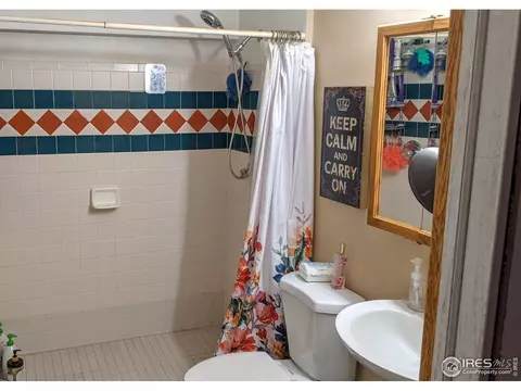209 E Iowa Ave, Berthoud, CO 80513 photo 28