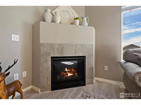 1827 Tinker Dr, Windsor, CO 80550 photo 8