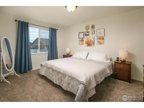 822 Mt Sneffels Ave, Windsor, CO 80550 photo 16