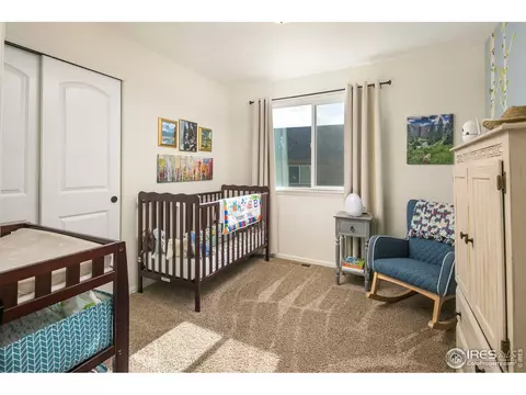 822 Mt Sneffels Ave, Windsor, CO 80550 photo 18