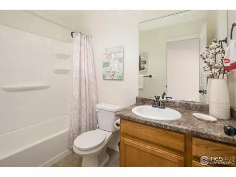 822 Mt Sneffels Ave, Windsor, CO 80550 photo 17