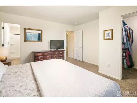 822 Mt Sneffels Ave, Windsor, CO 80550 photo 15