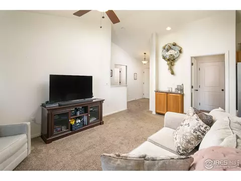 822 Mt Sneffels Ave, Windsor, CO 80550 photo 5