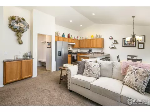 822 Mt Sneffels Ave, Windsor, CO 80550 photo 8