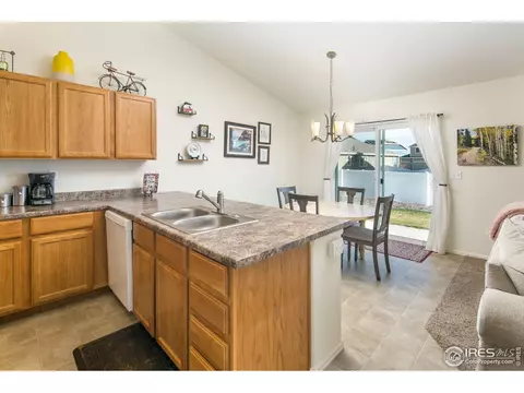 822 Mt Sneffels Ave, Windsor, CO 80550 photo 11