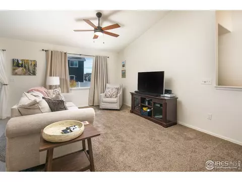 822 Mt Sneffels Ave, Windsor, CO 80550 photo 6