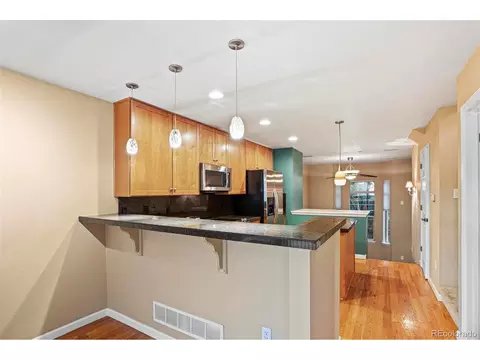 8729 E 29th Pl, Denver, CO 80238 photo 5