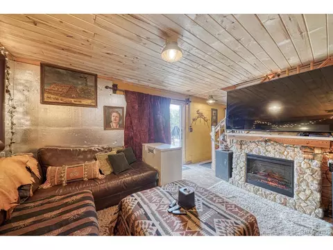 265 Bellows Rd, Hartsel, CO 80449 photo 30