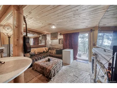 265 Bellows Rd, Hartsel, CO 80449 photo 29