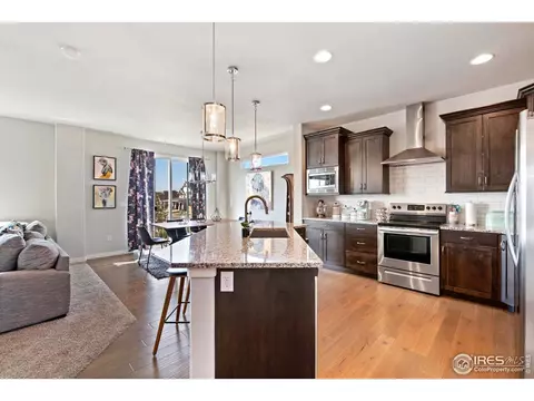 5104 Thunderhead Dr, Timnath, CO 80547 photo 9