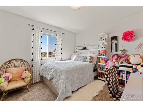 5104 Thunderhead Dr, Timnath, CO 80547 photo 19