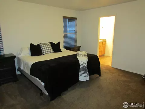 257 Pinebrook Ct, Windsor, CO 80550 photo 13