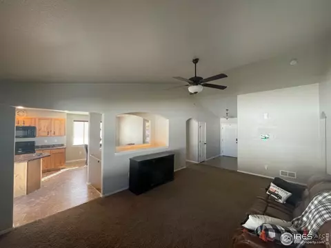 257 Pinebrook Ct, Windsor, CO 80550 photo 5