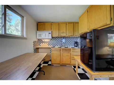 Undisclosed, Bailey, CO 80421 photo 18