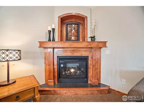 1226 Baldridge Dr, Severance, CO 80615 photo 13