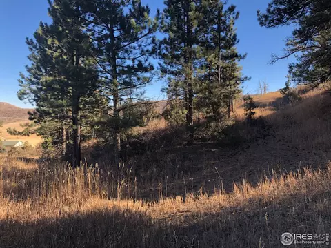 1111 Eiger Rd, Livermore, CO 80536 photo 3