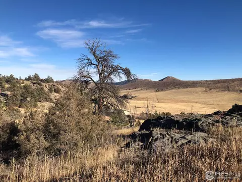 1111 Eiger Rd, Livermore, CO 80536 photo 8